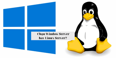 Bạn chọn Linux Server hay chọn Window Server?