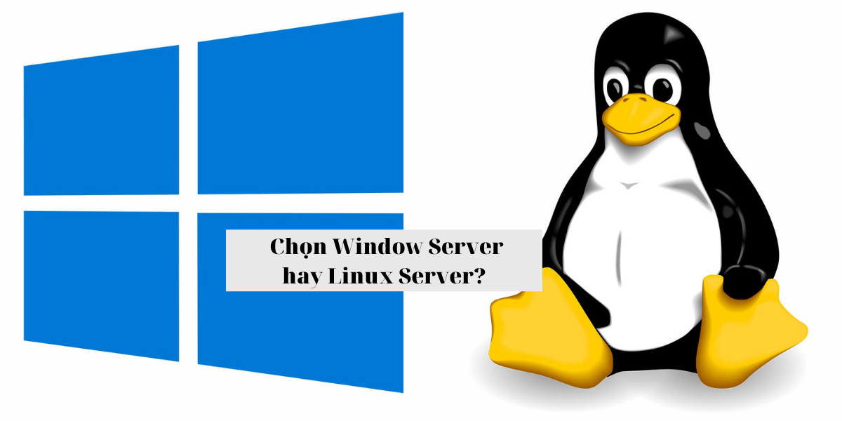 Bạn chọn Linux Server hay chọn Window Server?